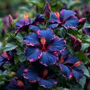 Гибискус Голден Глоу купить по цене от 259р. в интернет-магазине «Посадика» с доставкой почтой в в Нарткалае и по всей России – [изображение №1].